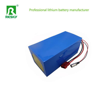 বৈদ্যুতিক গাড়ির জন্য 48V 20ah 1000W লিথিয়াম ব্যাটারি প্যাক